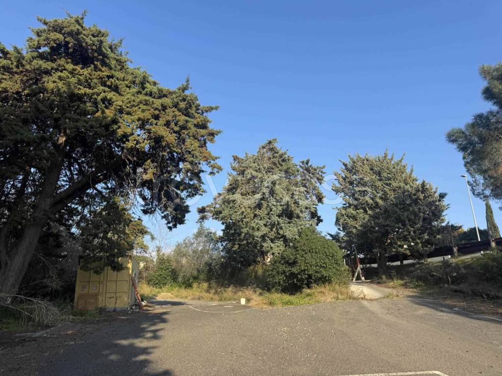 immagine annuncio 11 di 13