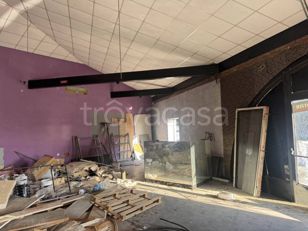 immagine annuncio 12 di 13