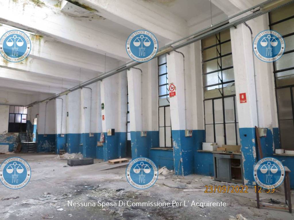 immagine annuncio 8 di 13