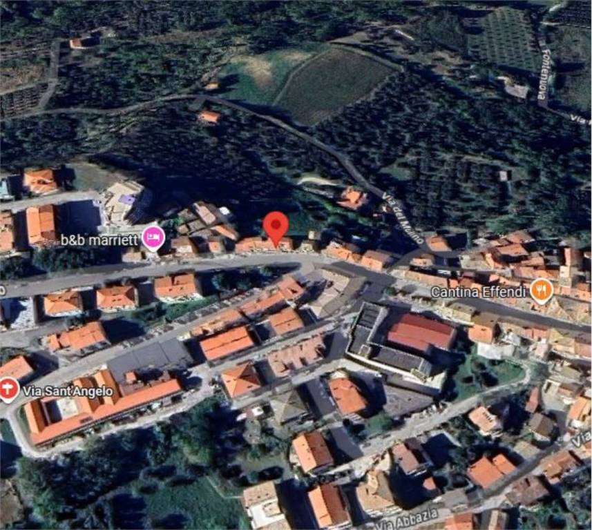 immagine annuncio 11 di 14