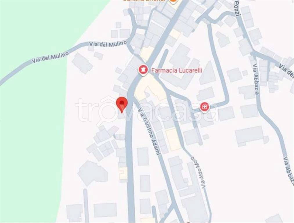 immagine annuncio 12 di 14