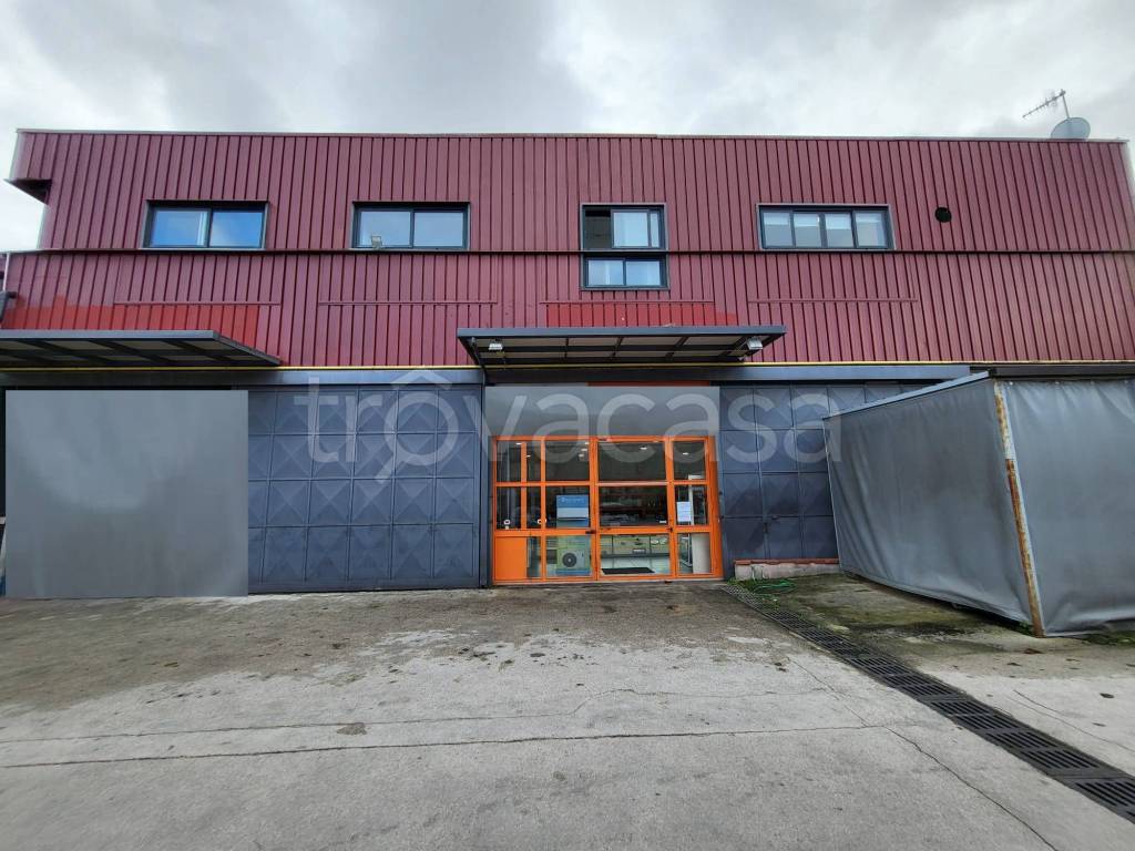 immagine annuncio 2 di 10