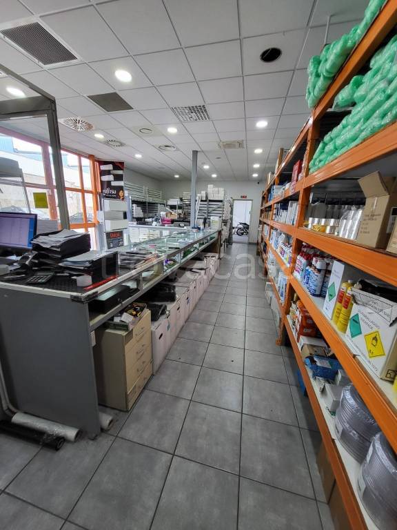 immagine annuncio 5 di 10