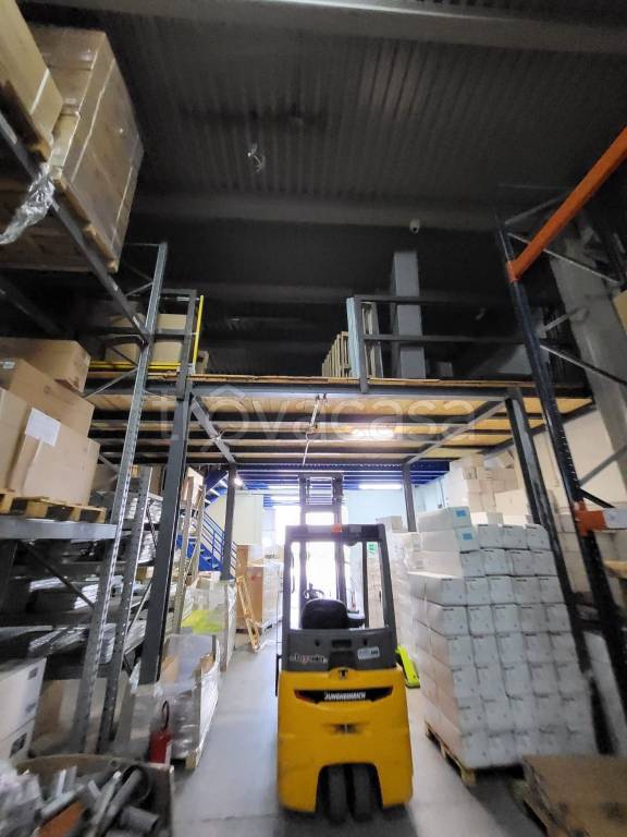 immagine annuncio 9 di 10