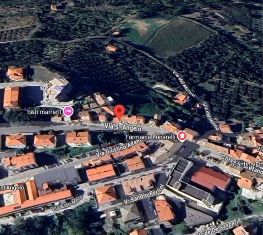 immagine annuncio 12 di 14