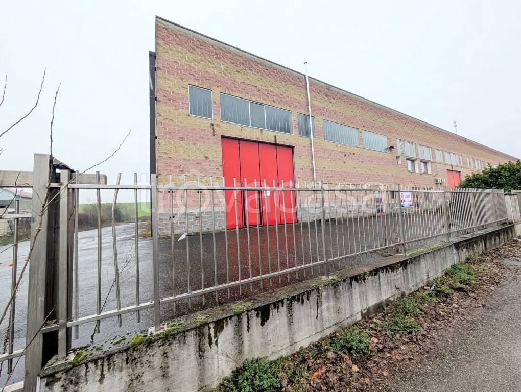 immagine annuncio 11 di 15