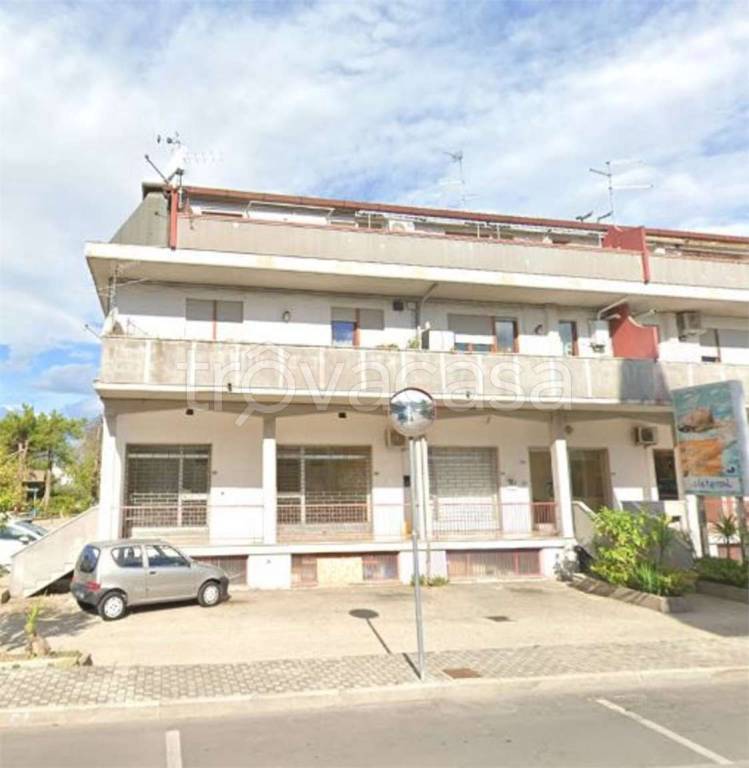 immagine annuncio 4 di 14