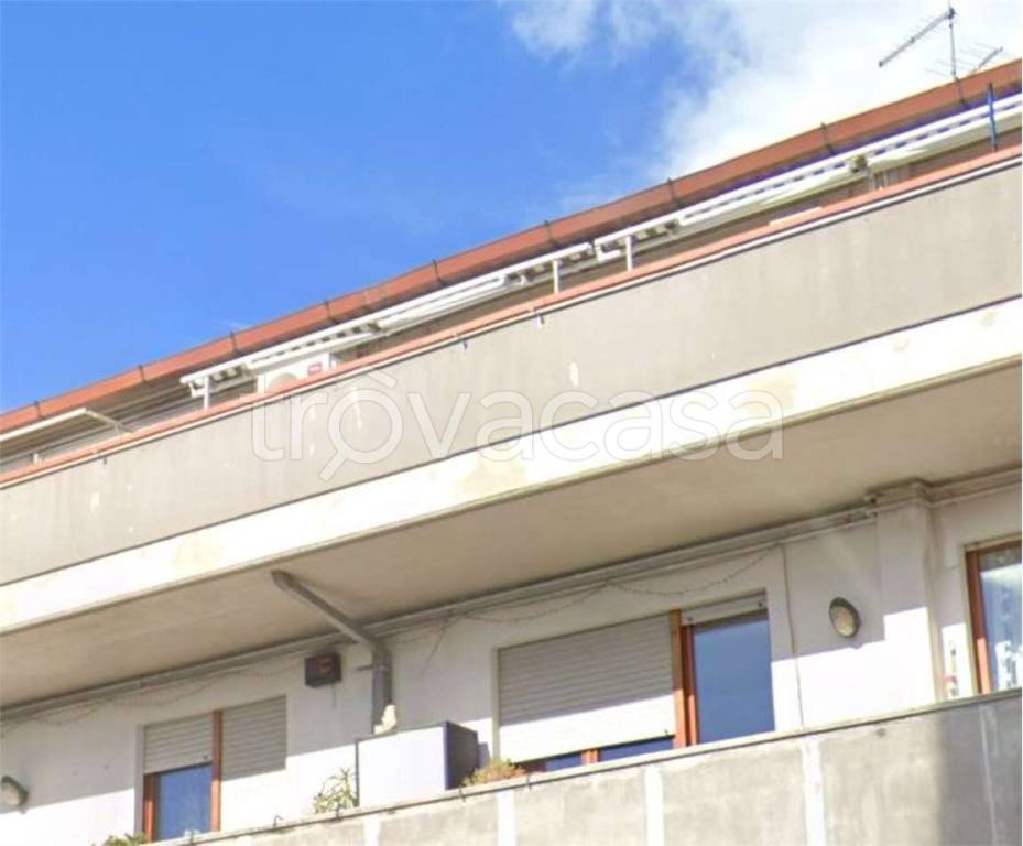 immagine annuncio 11 di 14