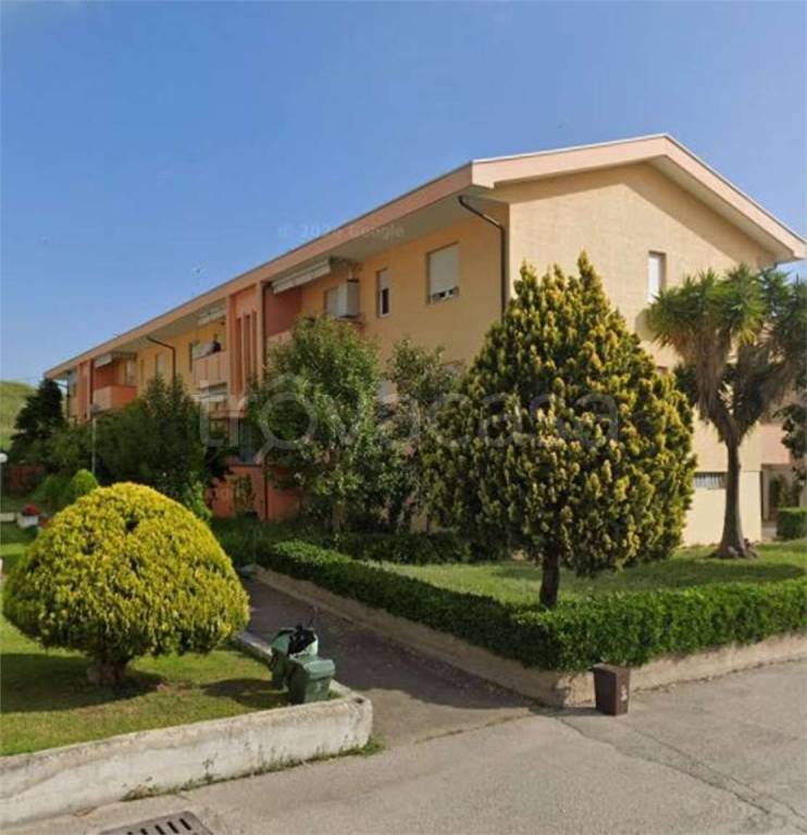 immagine annuncio 1 di 14