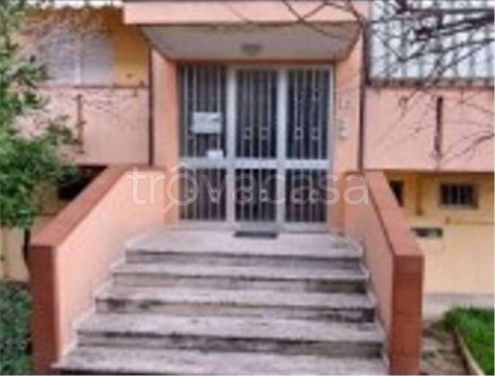 immagine annuncio 3 di 14