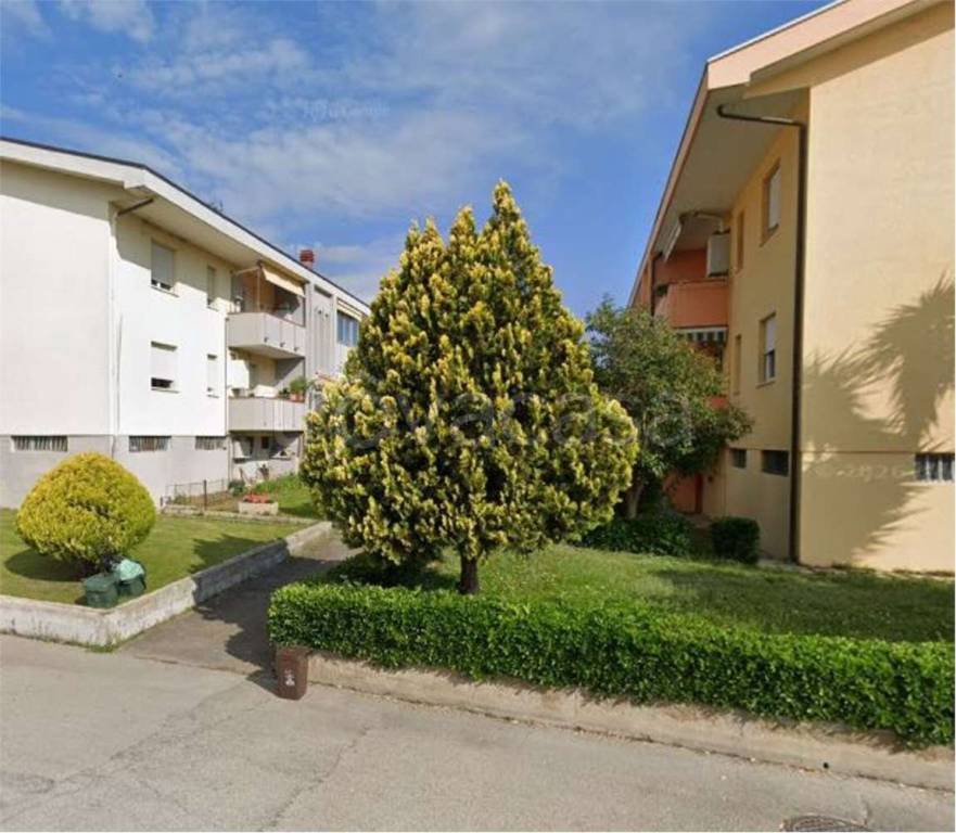 immagine annuncio 5 di 14