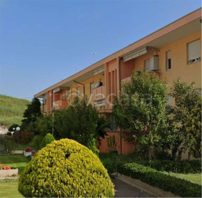 immagine annuncio 11 di 14