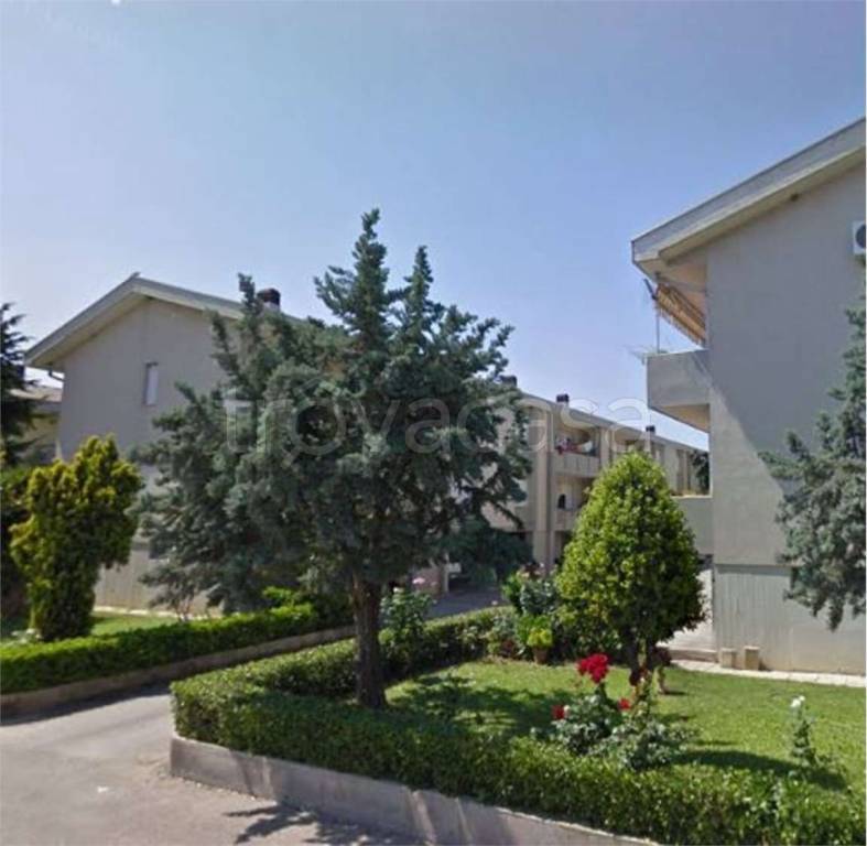 immagine annuncio 12 di 14