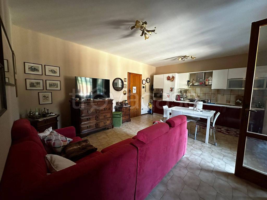 immagine annuncio 5 di 15