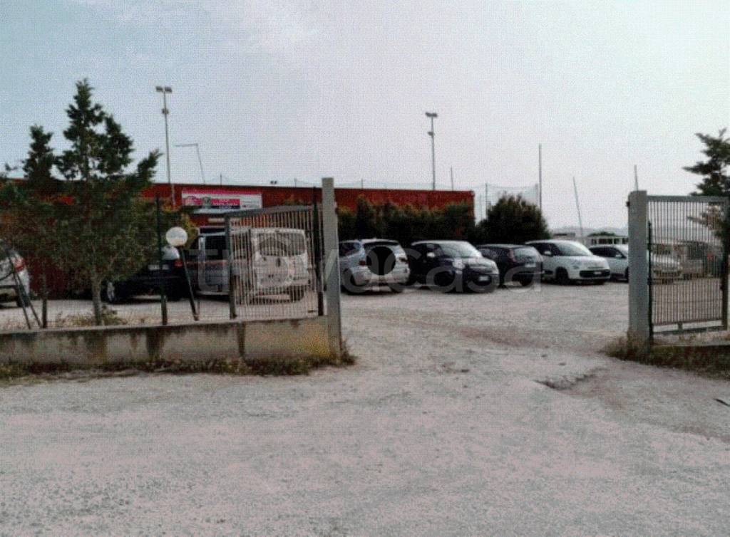 immagine annuncio 9 di 10