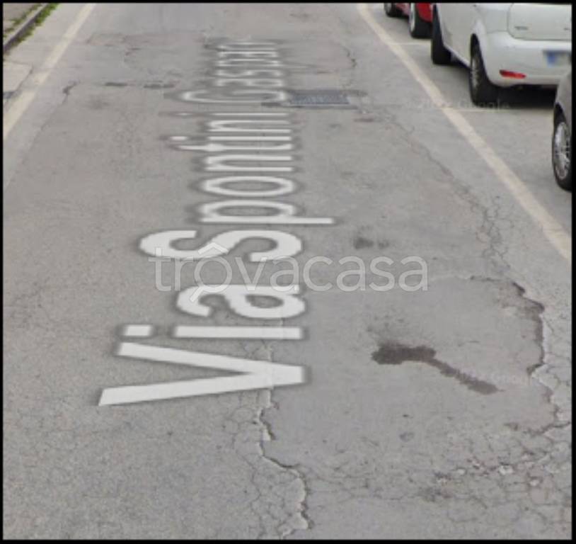 immagine annuncio 3 di 12