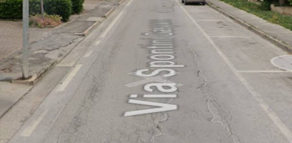 immagine annuncio 1 di 11