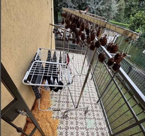 immagine annuncio 5 di 15