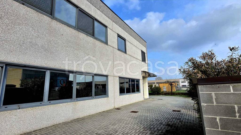 immagine annuncio 6 di 15