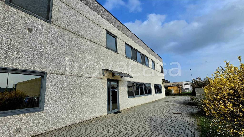 immagine annuncio 7 di 15