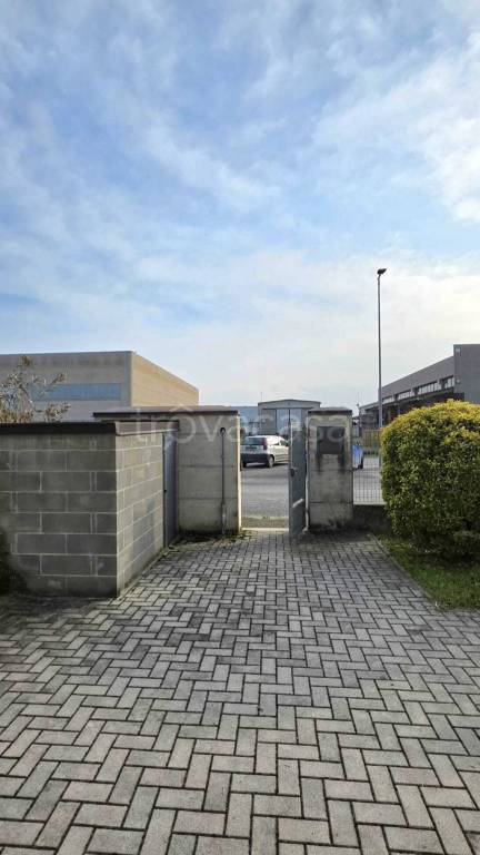 immagine annuncio 8 di 15