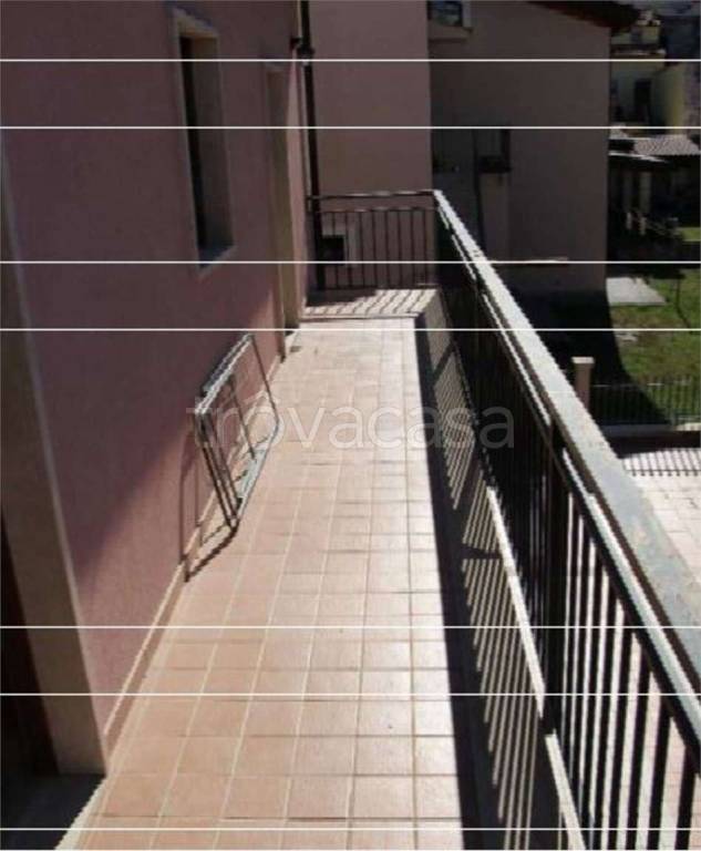 immagine annuncio 2 di 14