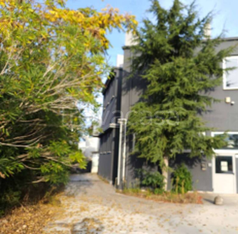 immagine annuncio 6 di 11