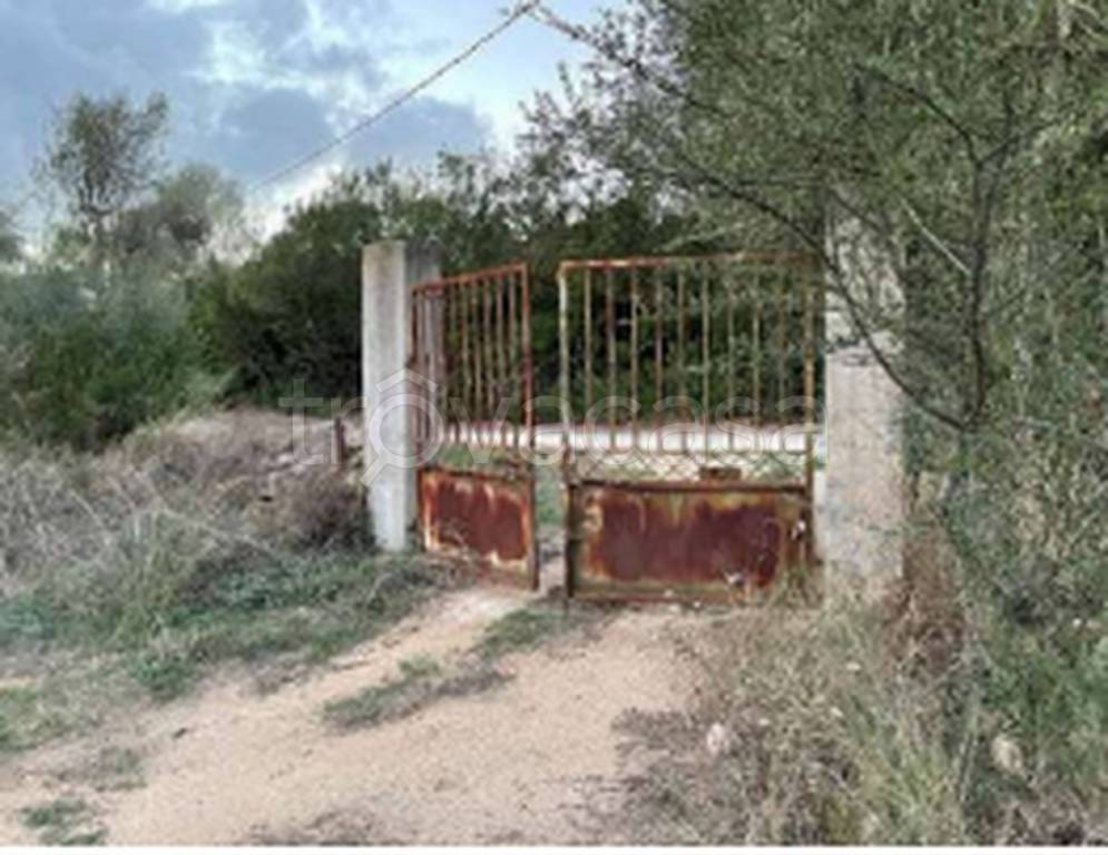 immagine annuncio 7 di 11