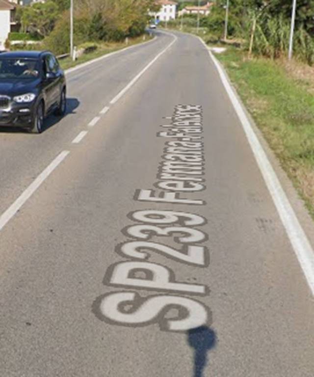immagine annuncio 1 di 11