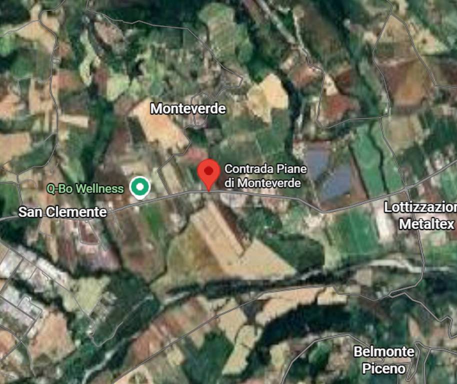 immagine annuncio 3 di 10