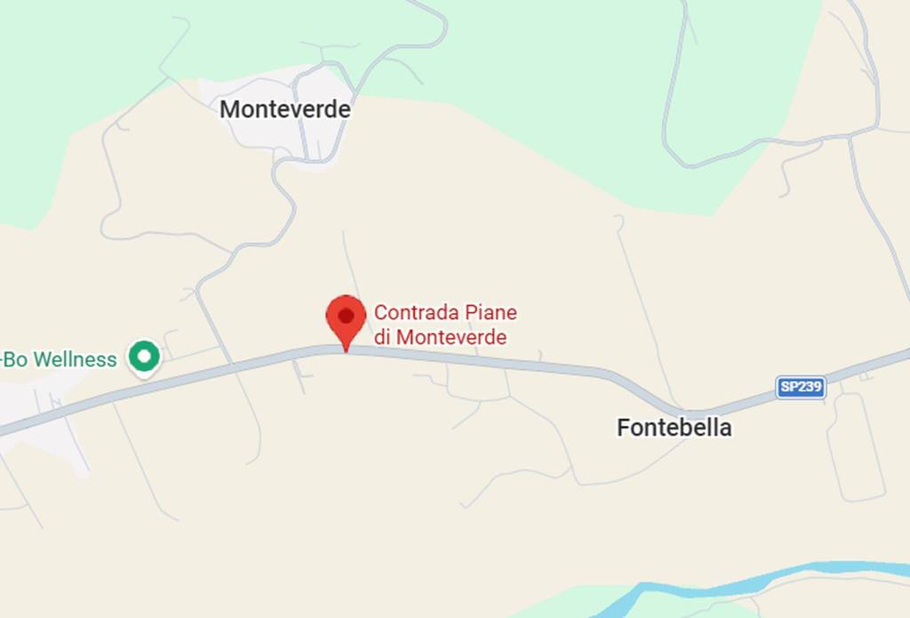 immagine annuncio 6 di 10