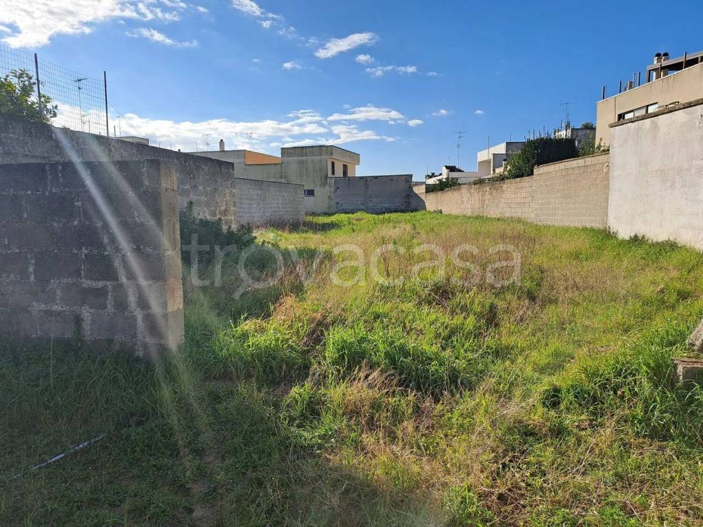 immagine annuncio 10 di 15