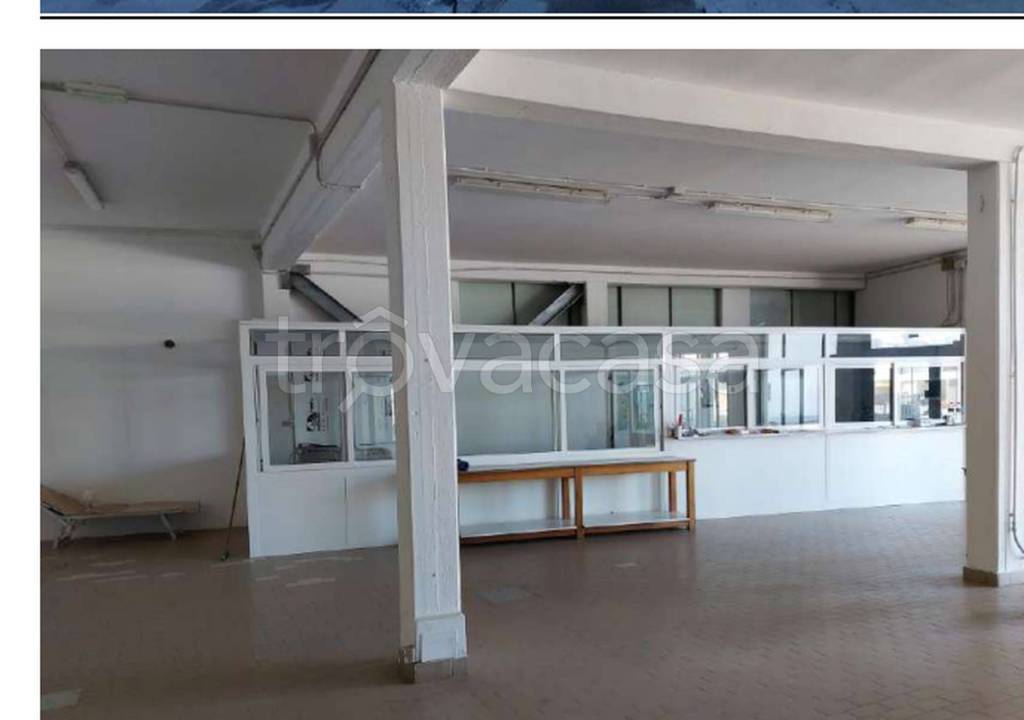 immagine annuncio 4 di 9