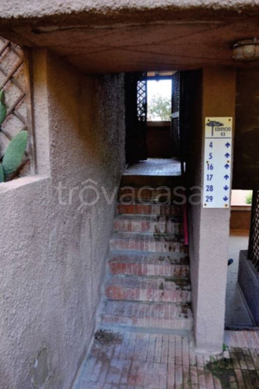 immagine annuncio 10 di 12