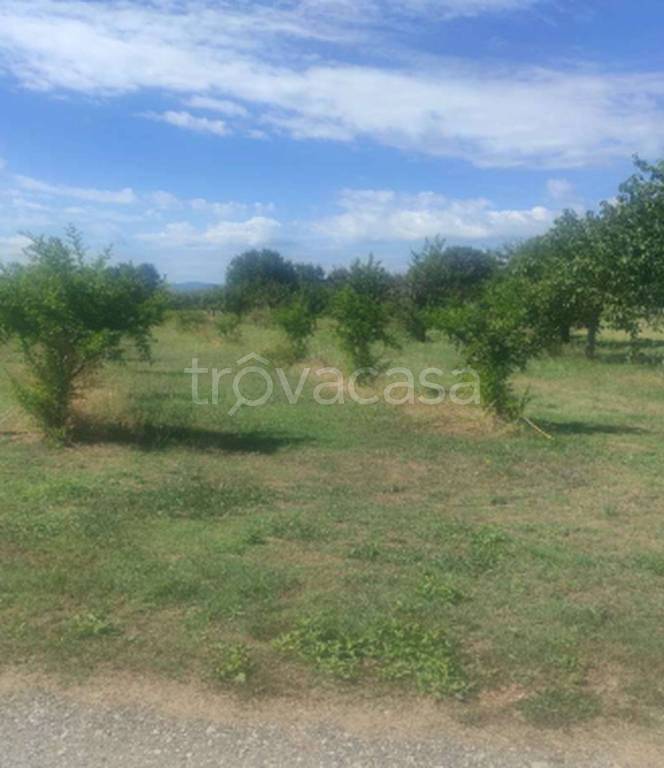 immagine annuncio 4 di 9