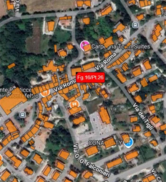 immagine annuncio 1 di 11