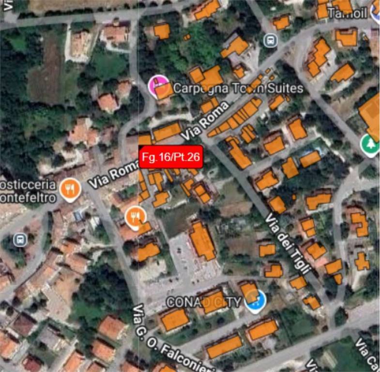 immagine annuncio 4 di 11