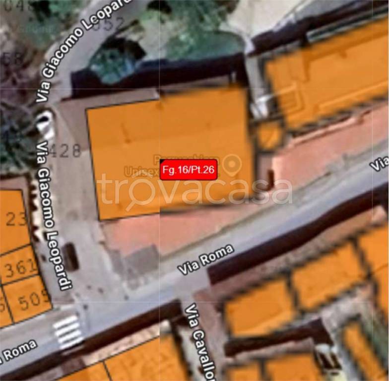 immagine annuncio 6 di 11