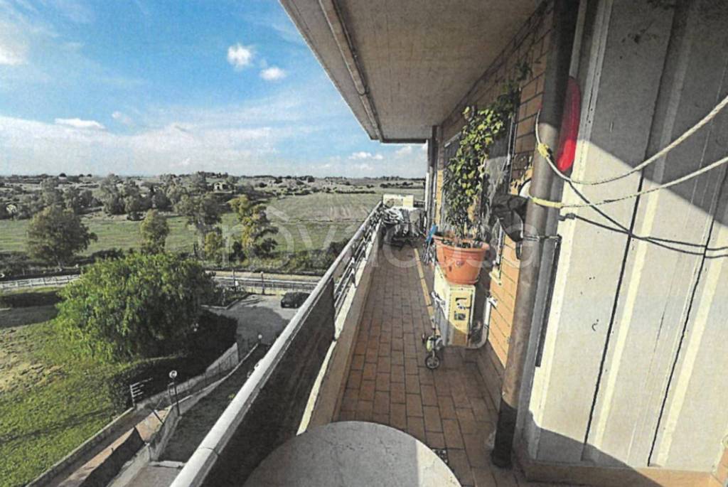 immagine annuncio 8 di 11