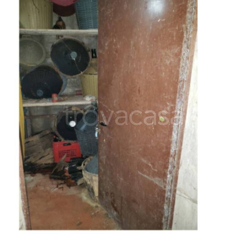 immagine annuncio 9 di 12