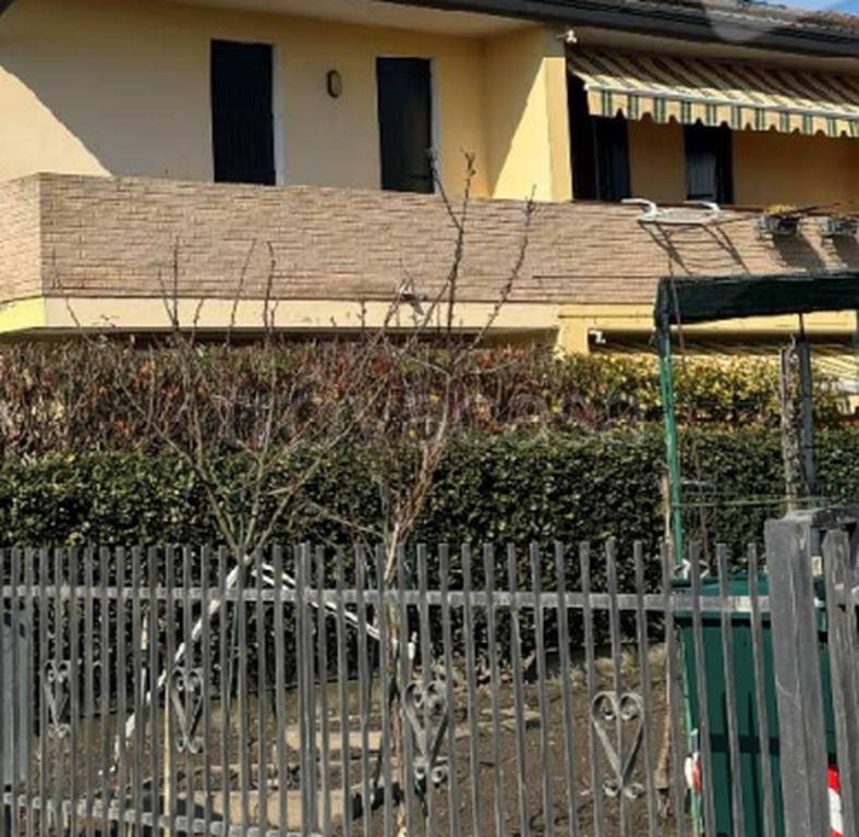 immagine annuncio 4 di 11