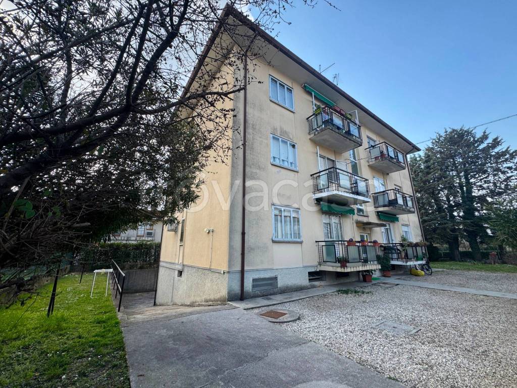 immagine annuncio 11 di 12