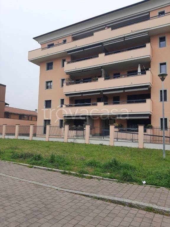 immagine annuncio 10 di 11