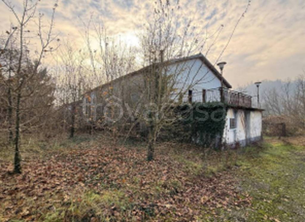 immagine annuncio 8 di 11