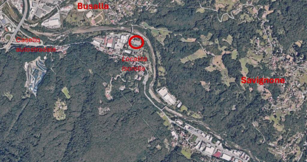 immagine annuncio 9 di 11