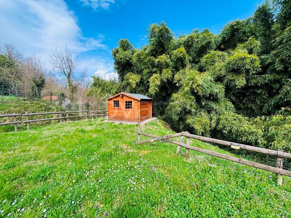 immagine annuncio 7 di 15