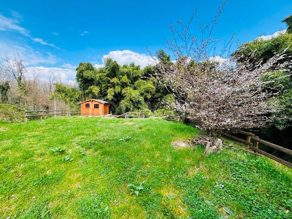 immagine annuncio 8 di 15