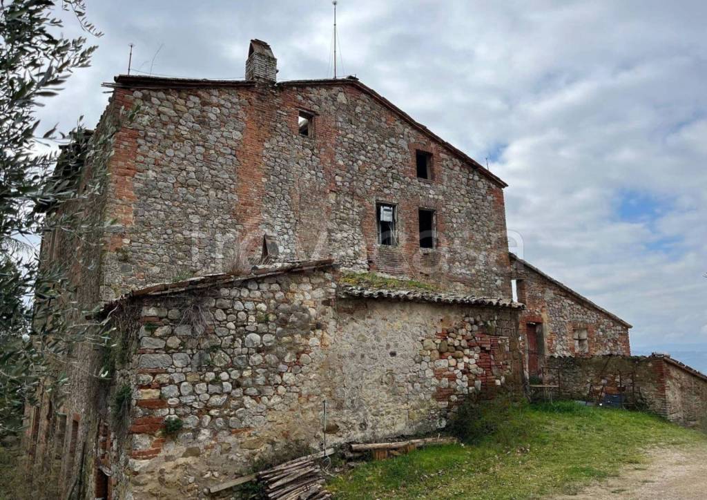 immagine annuncio 6 di 9