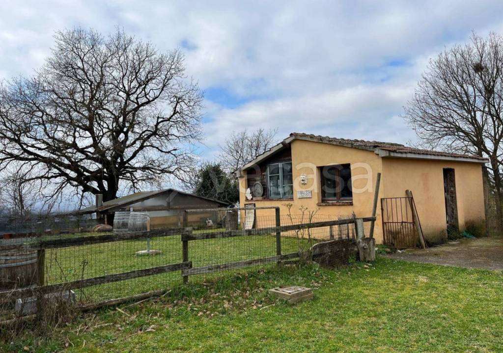 immagine annuncio 8 di 9