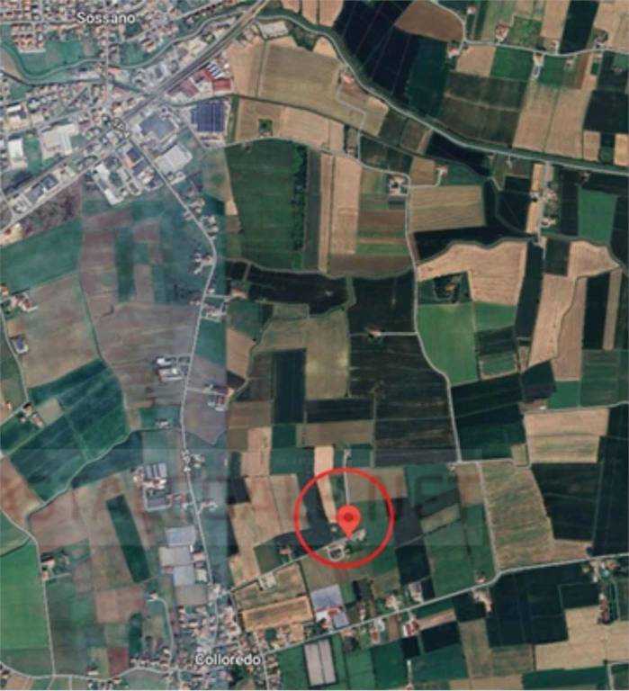 immagine annuncio 5 di 11